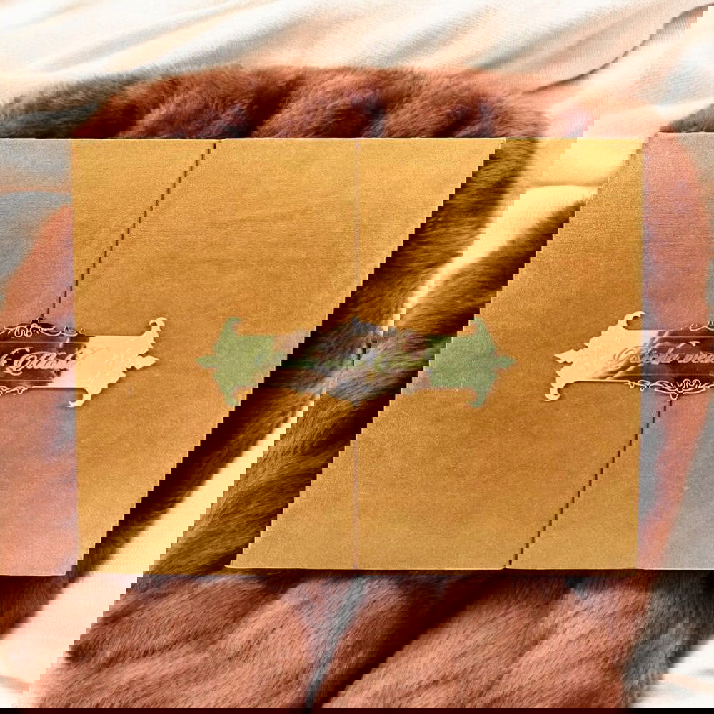 KL9010 Door Style Velvet Fabric Thick Luxury Wedding Card with 2 Card Inserts, 1 Envelope and Acrylic Mirror with Couple Names - Kalash Cards